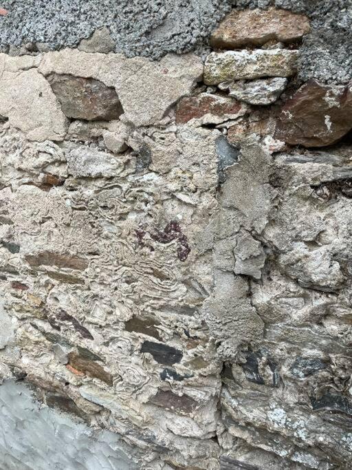 Maisonnette De Pecheur L'Aubraie Екстер'єр фото